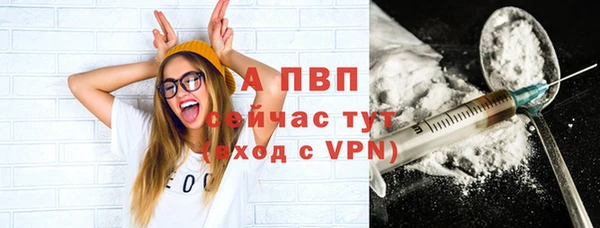 гидра Абаза