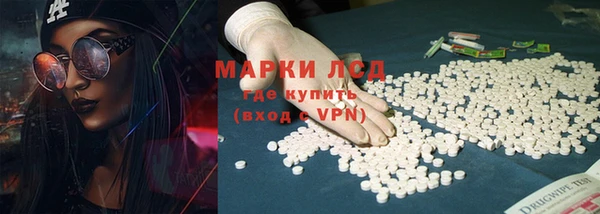 гидра Абаза