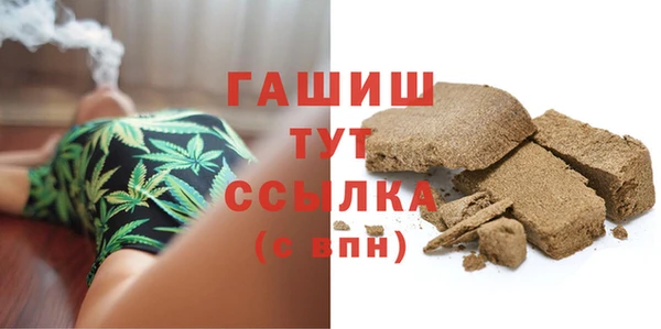 гидра Абаза