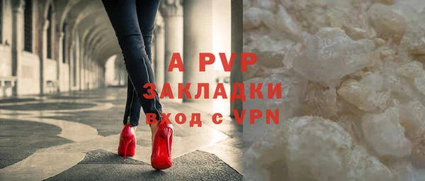 гидра Абаза