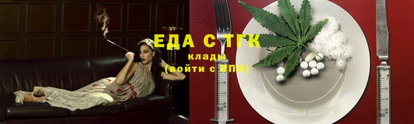 гидра Абаза