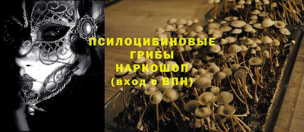 эйфоретик Абинск