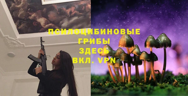 гидра Абаза