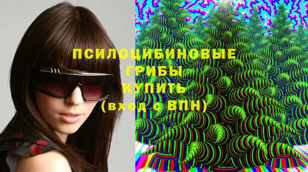 эйфоретик Абинск